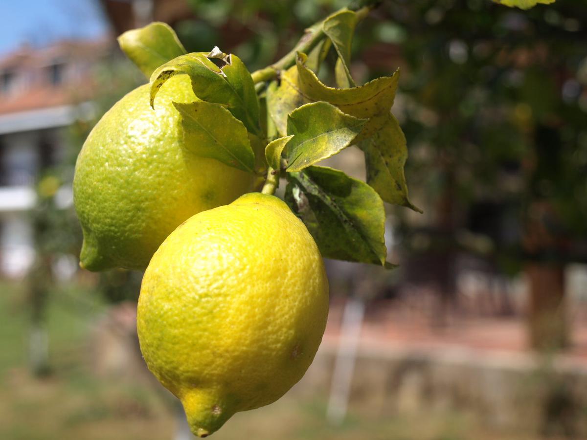 Hosteria El Pomar Novales Εξωτερικό φωτογραφία